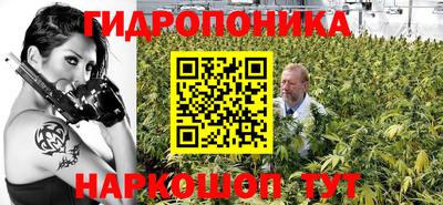 спайс Гатчина