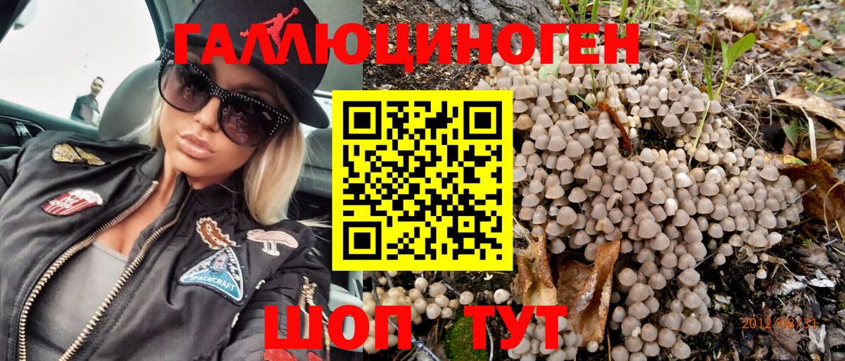 Ростов Великий  Псилоцибиновые грибы Psilocybe  Псилоцибиновые грибы мицелий  Вход с VPN 